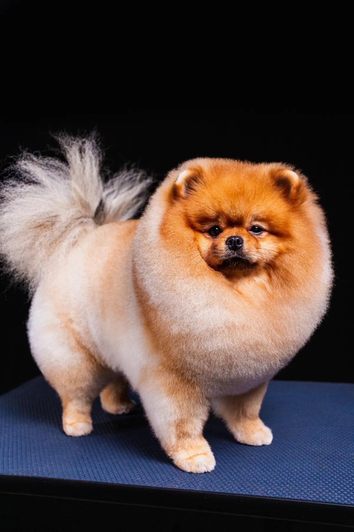 Produção Audiovisual